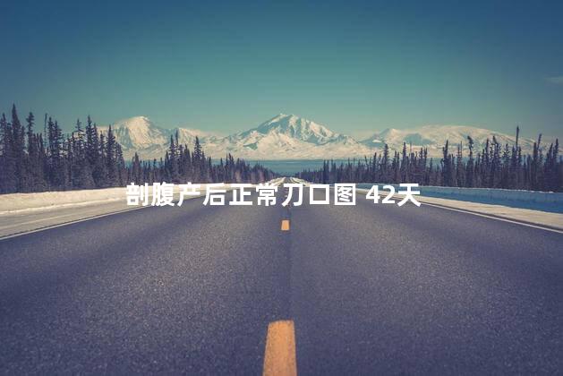 剖腹产后正常刀口图 42天